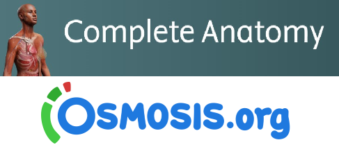 logo Complete Anatomy i Osmosis
